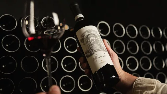 Dando un paso más hacia la evolución: Norton presenta la nueva imagen de Gernot