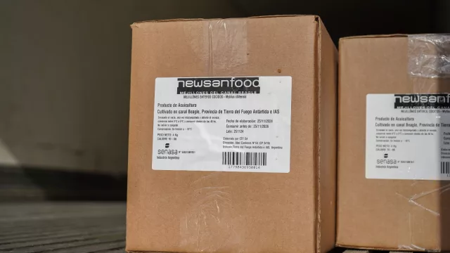 Argentina exporta mejillones por primera vez con Newsan Food (un proyecto que diversifica la producción en Tierra del Fuego)