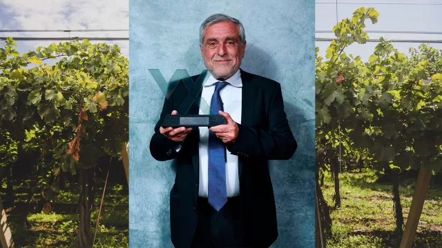 Santa Julia “Bodega Sustentable del Año” en los Premios Winexplorers 2026